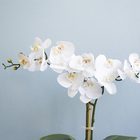 Arranjo Orquídea De Silicone Branca No Vaso Fendi | Formosinha